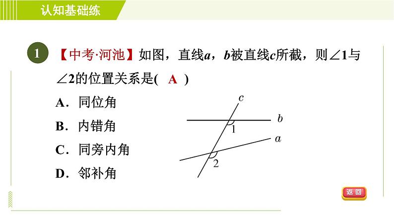 沪科版七年级下册数学 第10章 10.2.1目标三 同位角、内错角、同旁内角 习题课件03