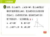 華師版七年級下冊數(shù)學(xué) 第10章 10.3.2 旋轉(zhuǎn)的特征 習(xí)題課件