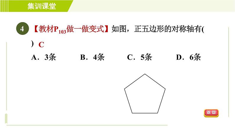 华师版七年级下册数学 第10章 集训课堂  测素质 轴对称的意义和性质、画轴对称图形 习题课件07