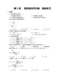 人教版七年级下册第五章 相交线与平行线综合与测试课时练习