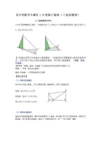 2020中考数学专题三大变换之旋转