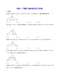 专题11 等腰三角形的判定与性质