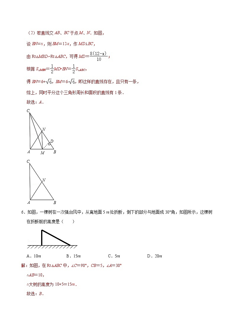 专题13 直角三角形的性质(解析版)第3页