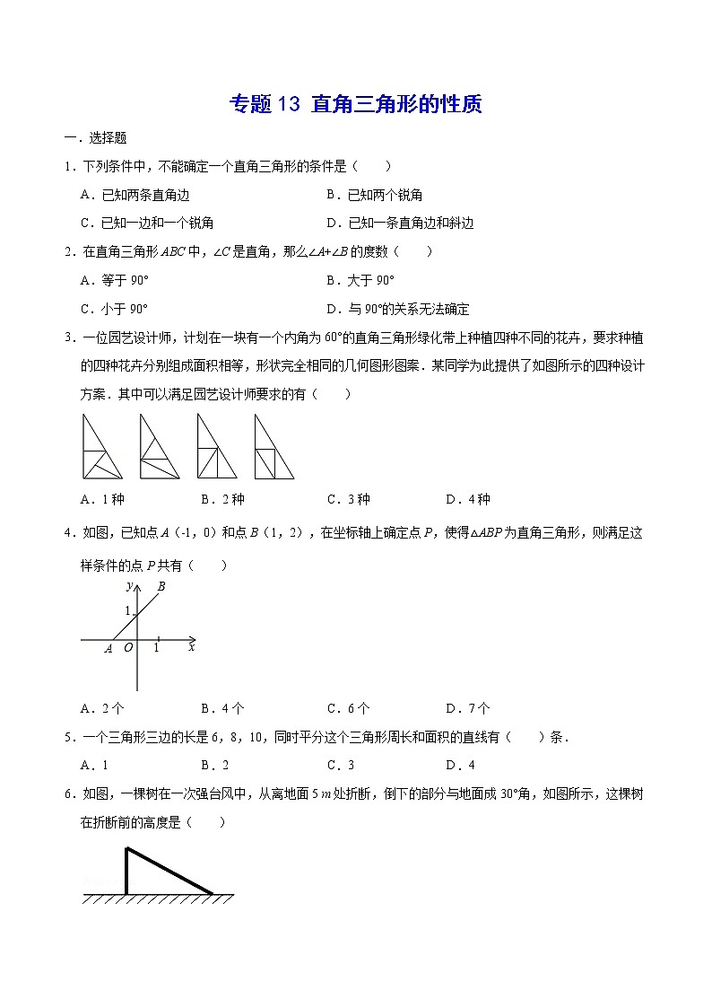 专题13 直角三角形的性质(原卷版)第1页