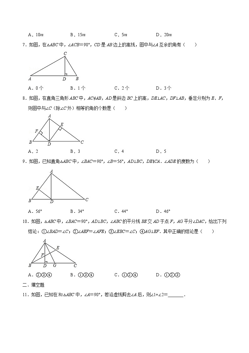 专题13 直角三角形的性质(原卷版)第2页