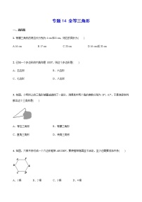 专题14 全等三角形