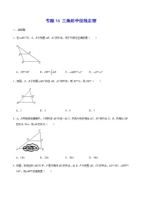 专题16 三角形中位线定理