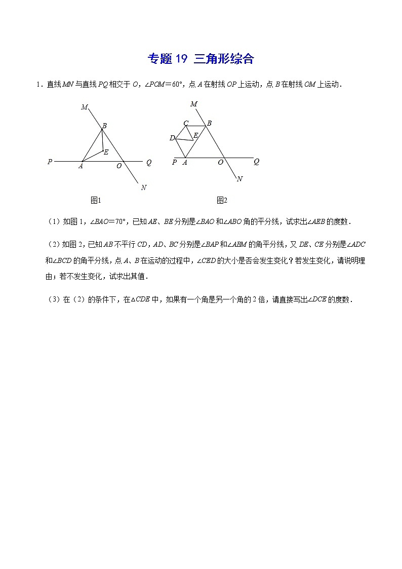 专题19 三角形综合(原卷版)第1页