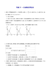 专题29 一次函数应用综合