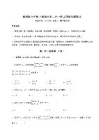 冀教版七年级下册第六章   二元一次方程组综合与测试巩固练习