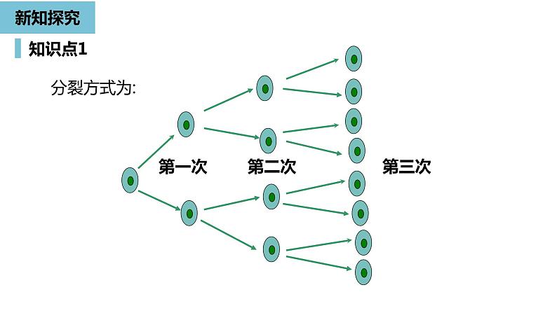 人教版数学七年级上册精品教学课件第一章有理数的乘方课时1-数学人教七（上）06