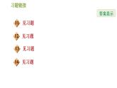 北师版八年级数学上册 第3章 3.3   中心对称 习题课件