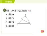 冀教版七年级下册数学 第9章 9.3目标二 三角形的高 习题课件