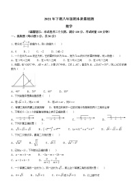 湖南省邵阳市新邵县2021-2022学年八年级上学期期末数学试题（word版 含答案）