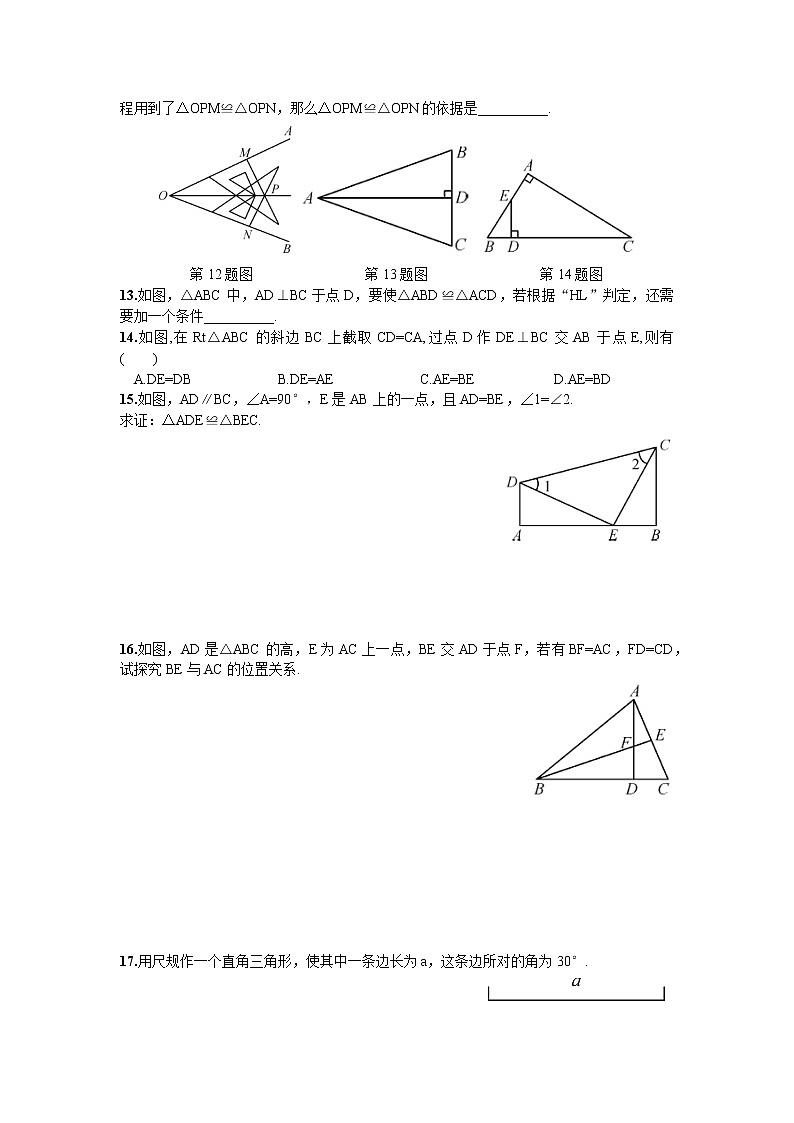 直角三角形全等判定要点及习题03