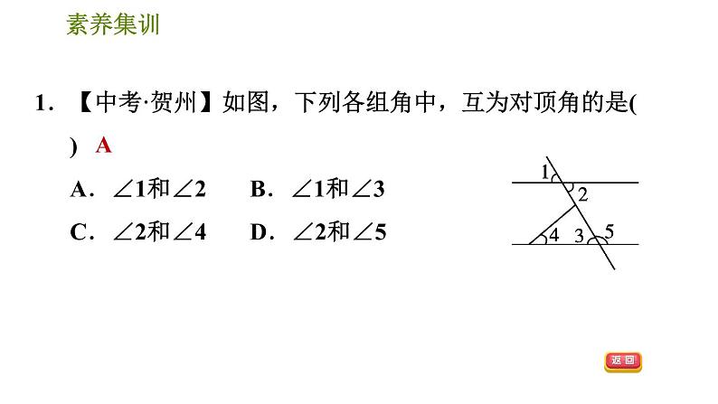 北师版七年级下册数学 第2章 素养集训  1．识别相交线中的几种角 习题课件第3页