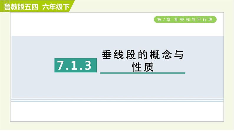 鲁教五四版六年级下册数学 第7章 习题课件01