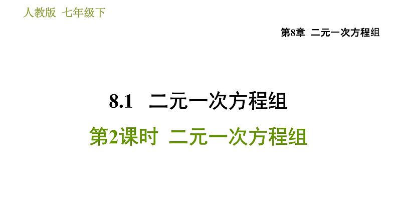 人教版七年级下册数学 第8章 8.1.2  二元一次方程组 习题课件第1页