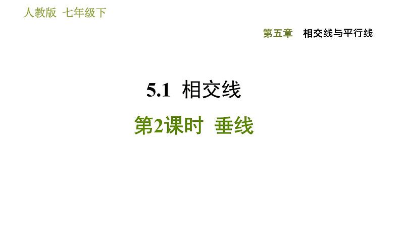 人教版七年级下册数学 第5章 5.1.2  垂线 习题课件第1页