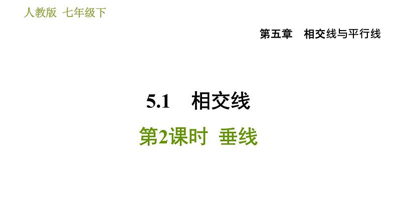 人教版七年级下册数学 第5章 5.1.2  垂线 习题课件第1页