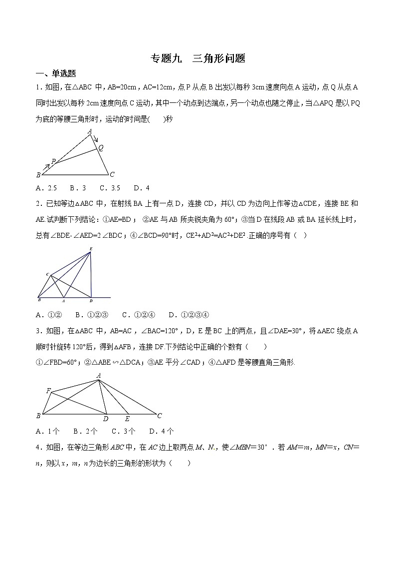 专题09 三角形问题第1页