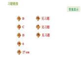 华师版七年级下册数学 第10章 习题课件