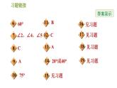沪科版七年级下册数学 第10章 10.3.1  平行线的性质 习题课件