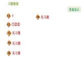 滬科版七年級(jí)下冊(cè)數(shù)學(xué) 期末提分練案 第1課時(shí)　實(shí)　數(shù) 習(xí)題課件