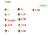 沪科版七年级下册数学 第10章 10.1.1  对顶角 习题课件