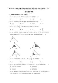 2021-2022学年安徽省安庆市宿松县新安初级中学九年级（上）期末数学试卷（学生版+解析版）