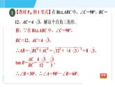 鲁教五四版九年级上册数学 第2章 2.4 目标四　解直角三角形的六种常见类型 习题课件