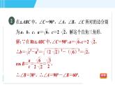 鲁教五四版九年级上册数学 第2章 2.4 目标四　解直角三角形的六种常见类型 习题课件