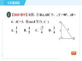 鲁教五四版九年级上册数学 第2章 2.1.2 目标二　余　弦 习题课件