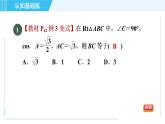 鲁教五四版九年级上册数学 第2章 2.4 目标二　已知边及锐角的三角函数值解三角形 习题课件