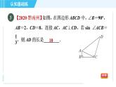 鲁教五四版九年级上册数学 第2章 2.4 目标二　已知边及锐角的三角函数值解三角形 习题课件