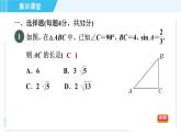 鲁教五四版九年级上册数学 第2章 集训课堂 测素质 解直角三角形及其应用 习题课件