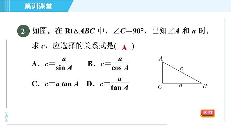 鲁教五四版九年级上册数学 第2章 集训课堂 测素质 解直角三角形及其应用 习题课件05