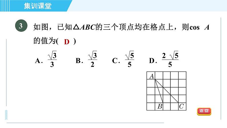 鲁教五四版九年级上册数学 第2章 集训课堂 测素质 解直角三角形及其应用 习题课件06