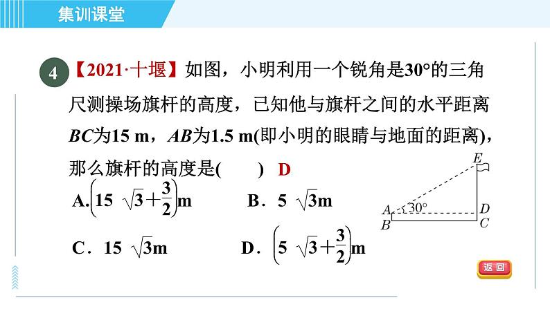 鲁教五四版九年级上册数学 第2章 集训课堂 测素质 解直角三角形及其应用 习题课件07