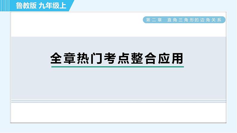 鲁教五四版九年级上册数学 第2章 全章热门考点整合应用 习题课件第1页