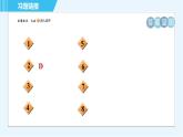 鲁教五四版九年级上册数学 第2章 全章热门考点整合应用 习题课件