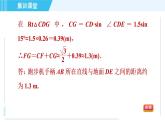 魯教五四版九年級(jí)上冊(cè)數(shù)學(xué) 第2章 集訓(xùn)課堂 練素養(yǎng) 構(gòu)造三角函數(shù)基本圖形解實(shí)際問(wèn)題的四種數(shù)學(xué)模型 習(xí)題課件