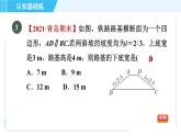 鲁教五四版九年级上册数学 第2章 2.1.1 正　切 习题课件