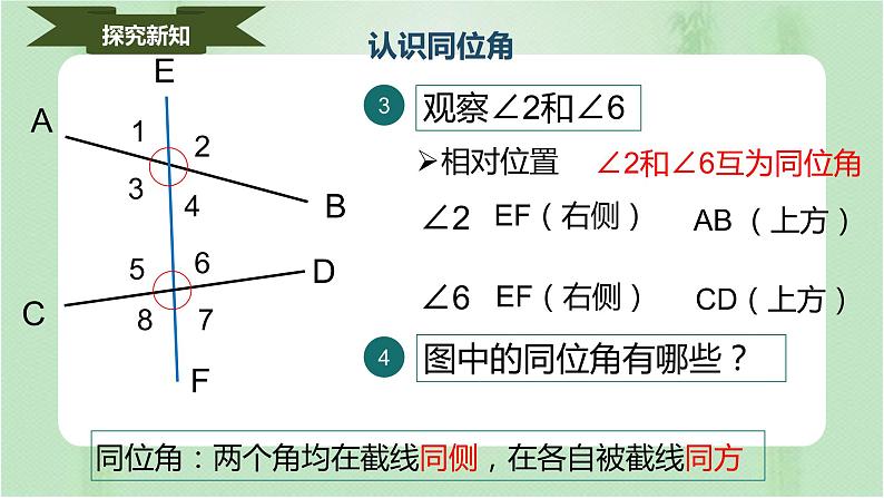 5.1.3同位角、内错角、同旁内角（课件）七年级数学下册同步（人教版）第5页