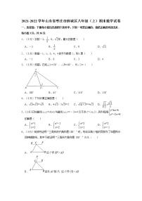 2021-2022学年山东省枣庄市薛城区八年级（上）期末数学试卷（word版，含解析）