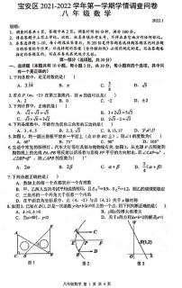 广东省深圳市宝安区2021-2022学年上学期八年级期末考试数学试卷