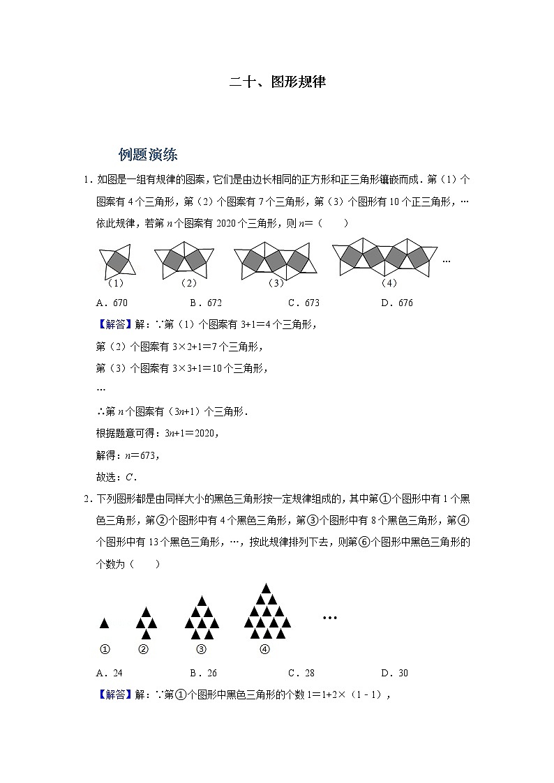 专题20 图形规律（解析版）第1页