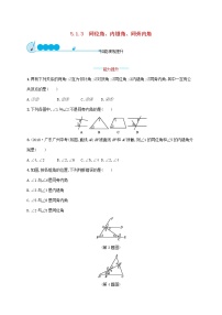 初中数学人教版七年级下册第五章 相交线与平行线5.1 相交线5.1.2 垂线一课一练