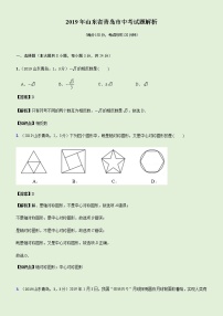 2019山东省青岛市中考试题解析