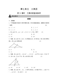 中考数学一轮全程复习课时练第21课时《三角形的基础知识》(教师版)